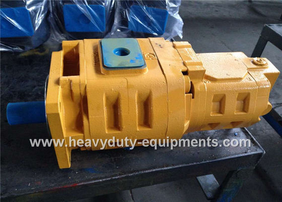 China Hydraulic gear pump 1010000007 for Zoomlion crane with warranty supplier