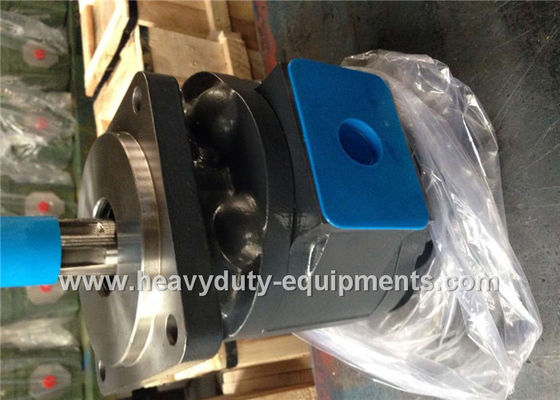 China Engineering Construction Equipment Spare Parts Industrial Hydraulic Pumps LW280 WZ3025 51 Shaft Extension supplier