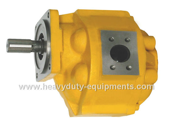 China Hydraulic oil pump 1010000019 for Zoomlion crane with warranty supplier